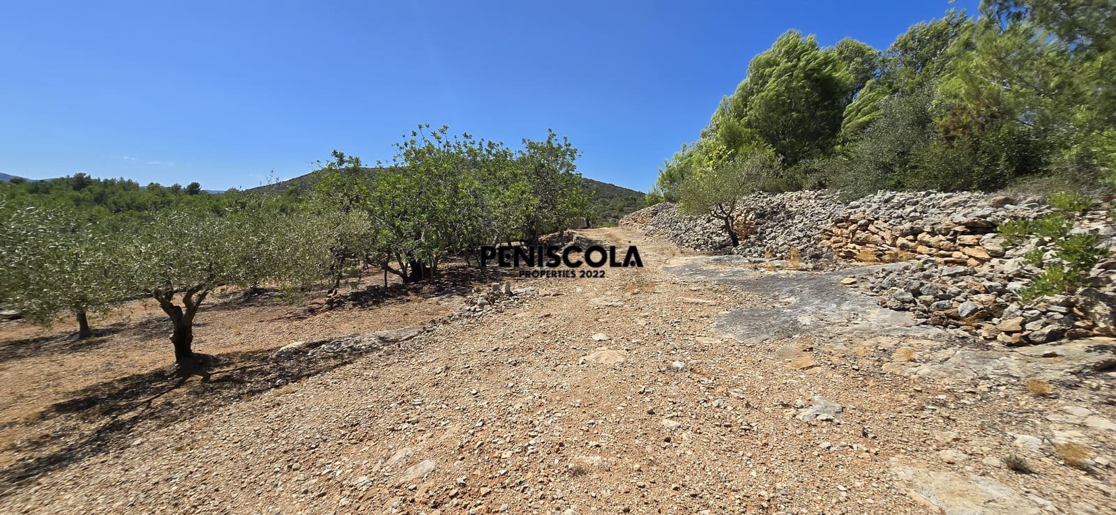 Area Edificabile in vendita in Peniscola - 95.000 € (Rif: 10033049)