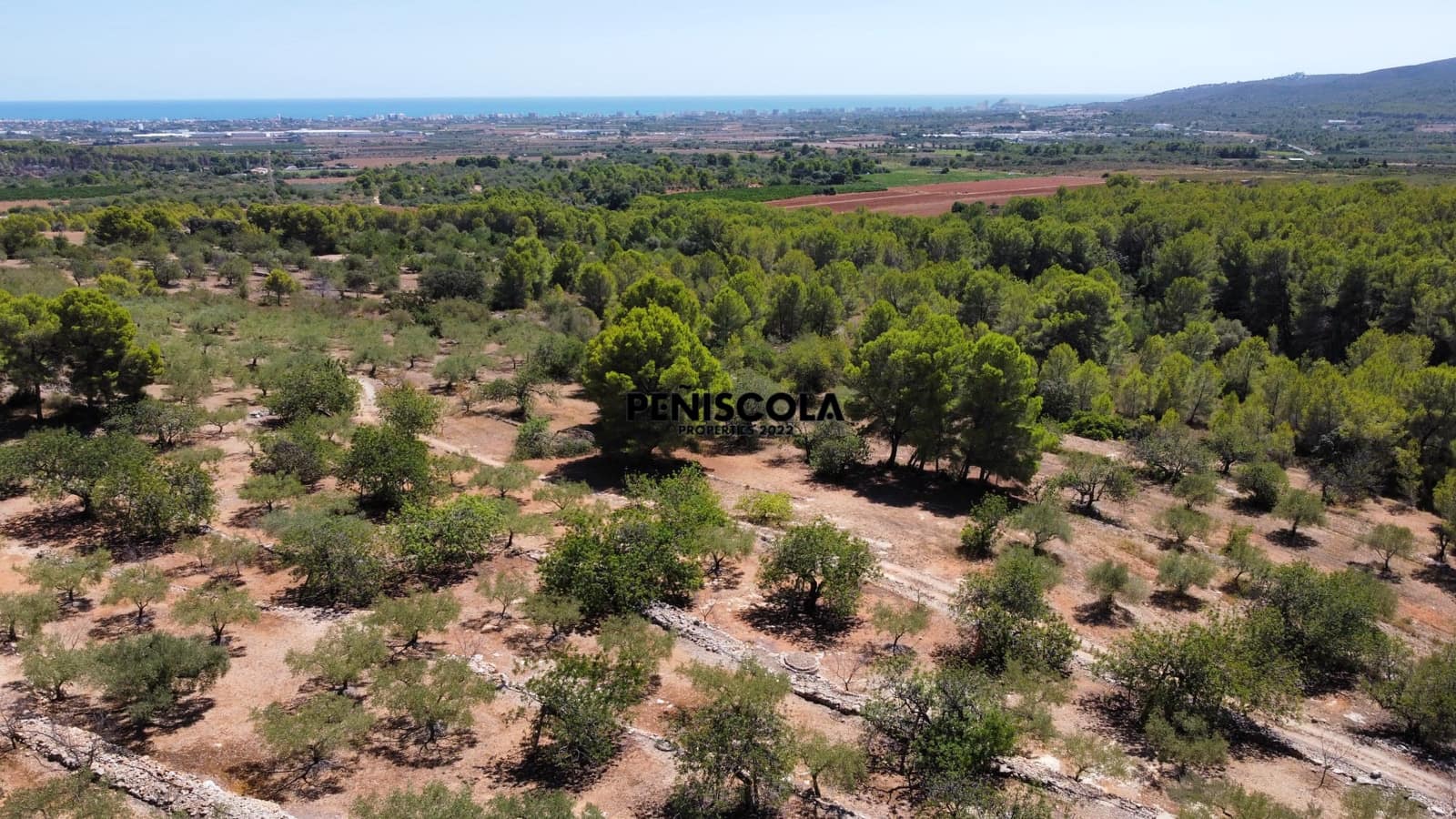 Area Edificabile in vendita in Peniscola - 95.000 € (Rif: 10033049)