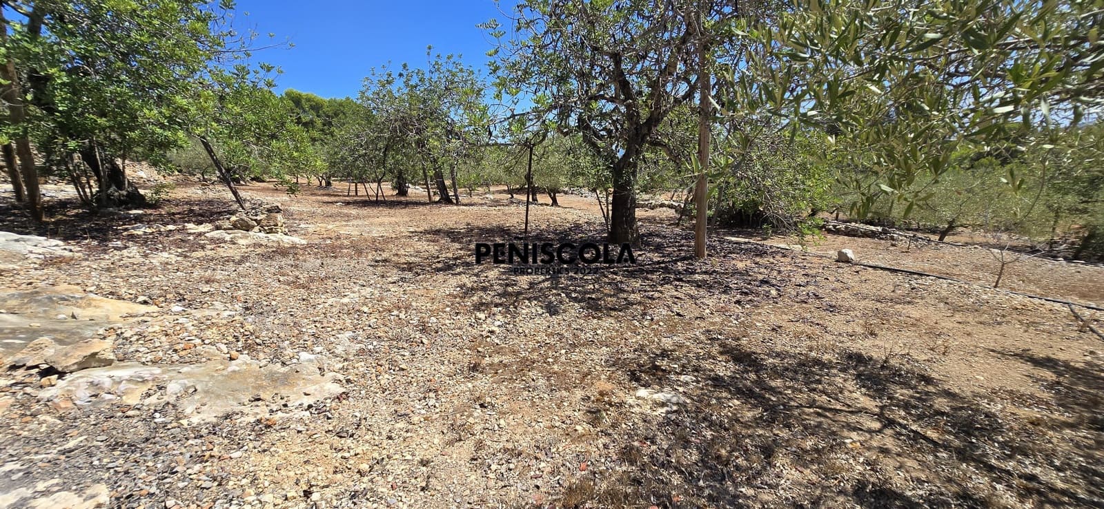 Area Edificabile in vendita in Peniscola - 95.000 € (Rif: 10033049)