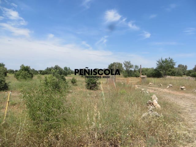 Maalaistalo myytävänä paikassa Canet lo Roig - 85 000 € (Ref: 10081740)