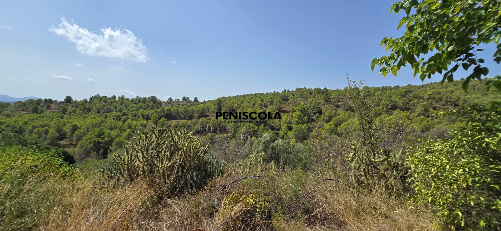 4 sypialnia Finka/Dom wiejski na sprzedaż w Sierra Engarceran - 320 000 € (Ref: 10165370)