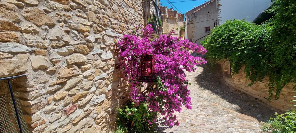 3 soveværelse Byhus til salg i Chert / Xert - € 95.000 (Ref: 6242543)