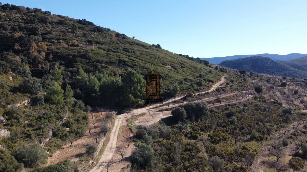 Finka/Dom wiejski na sprzedaż w Vilar de Canes - 48 000 € (Ref: 6278605)