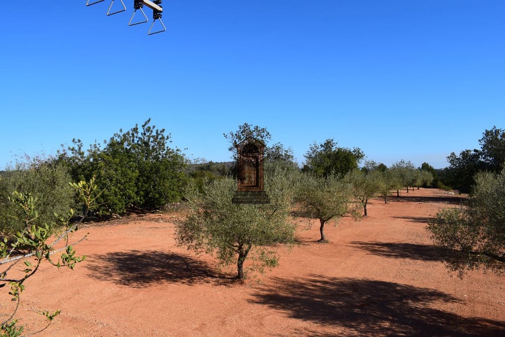 2 camera da letto Finca/Casa di Campagna in vendita in Cervera del Maestre / Cervera del Maestrat - 95.000 € (Rif: 6620679)