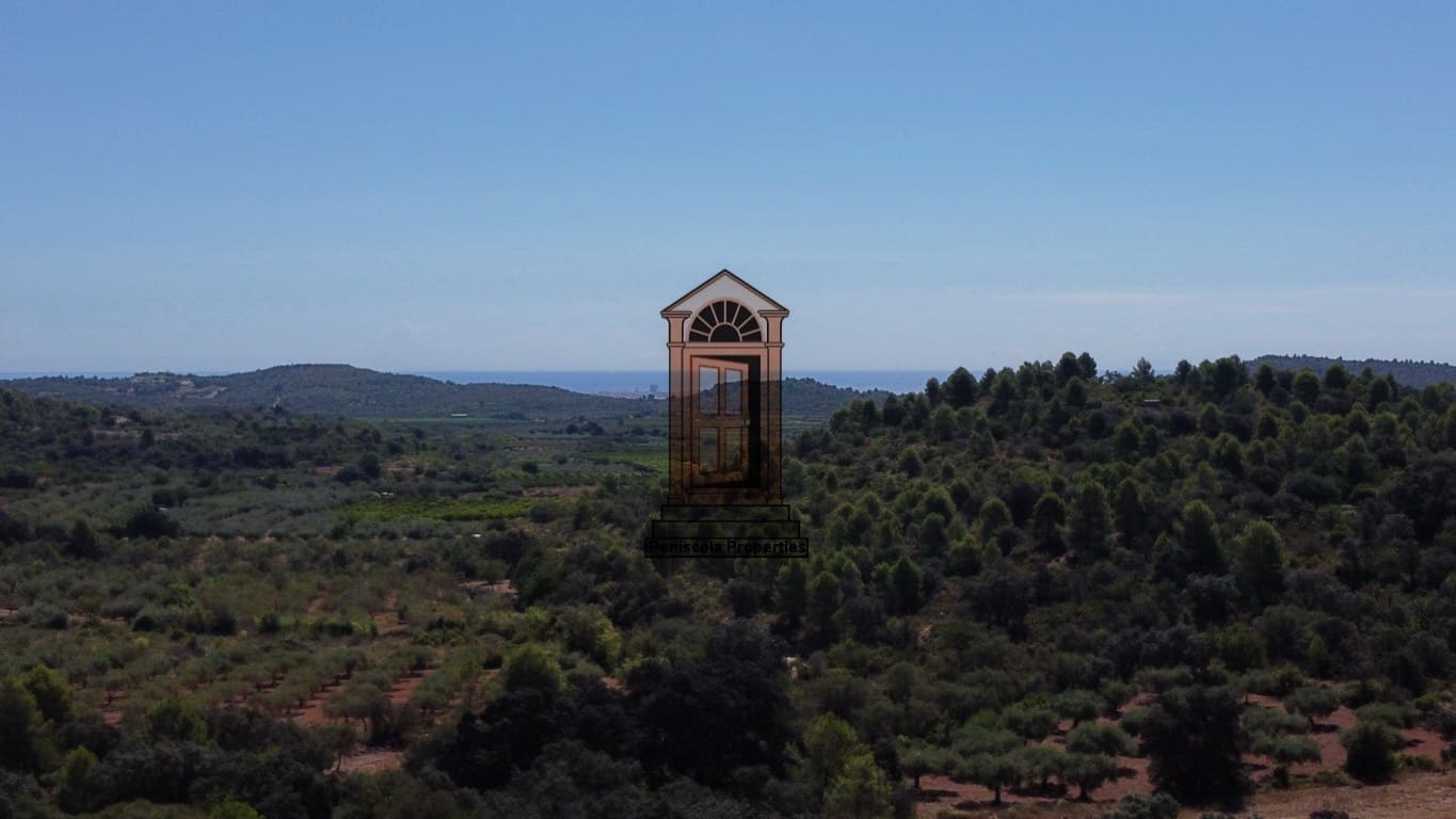 Byggegrund til salg i Cervera del Maestre / Cervera del Maestrat - € 65.000 (Ref: 7334700)