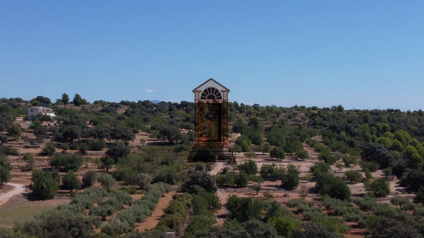 Byggegrund til salg i Cervera del Maestre / Cervera del Maestrat - € 65.000 (Ref: 7334700)