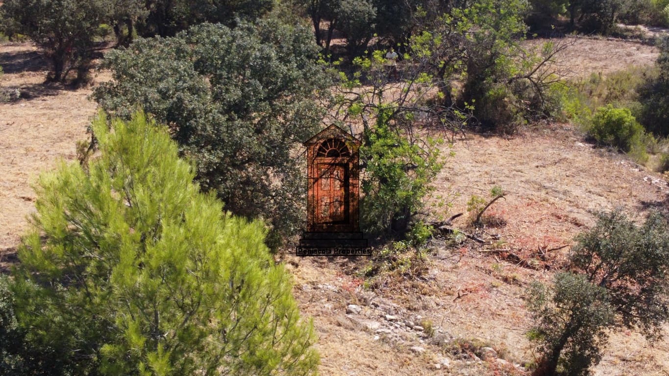 Byggegrund til salg i Cervera del Maestre / Cervera del Maestrat - € 65.000 (Ref: 7334700)