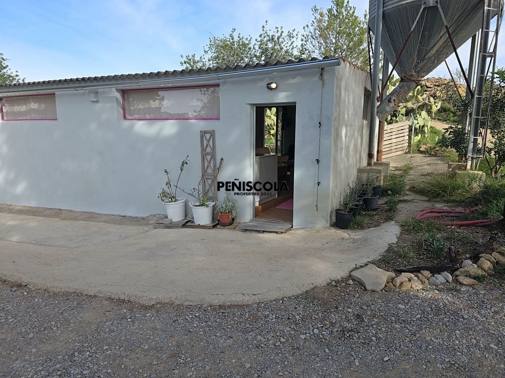 5 soveværelse Guesthouse/B & B til salg i Cervera del Maestre / Cervera del Maestrat - € 215.000 (Ref: 8855408)