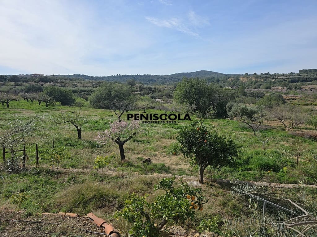 5 soveværelse Guesthouse/B & B til salg i Cervera del Maestre / Cervera del Maestrat - € 215.000 (Ref: 8855408)