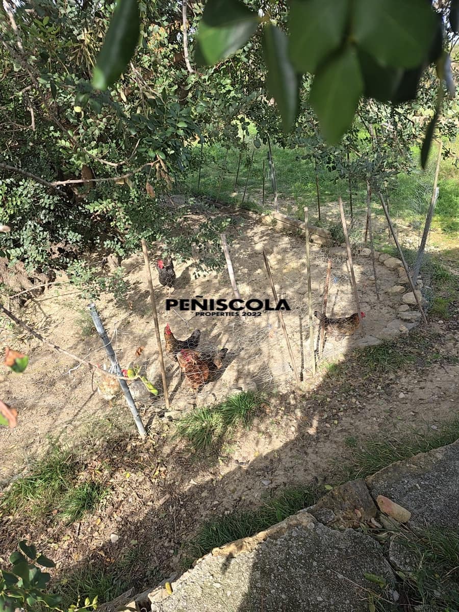 5 soveværelse Guesthouse/B & B til salg i Cervera del Maestre / Cervera del Maestrat - € 215.000 (Ref: 8855408)