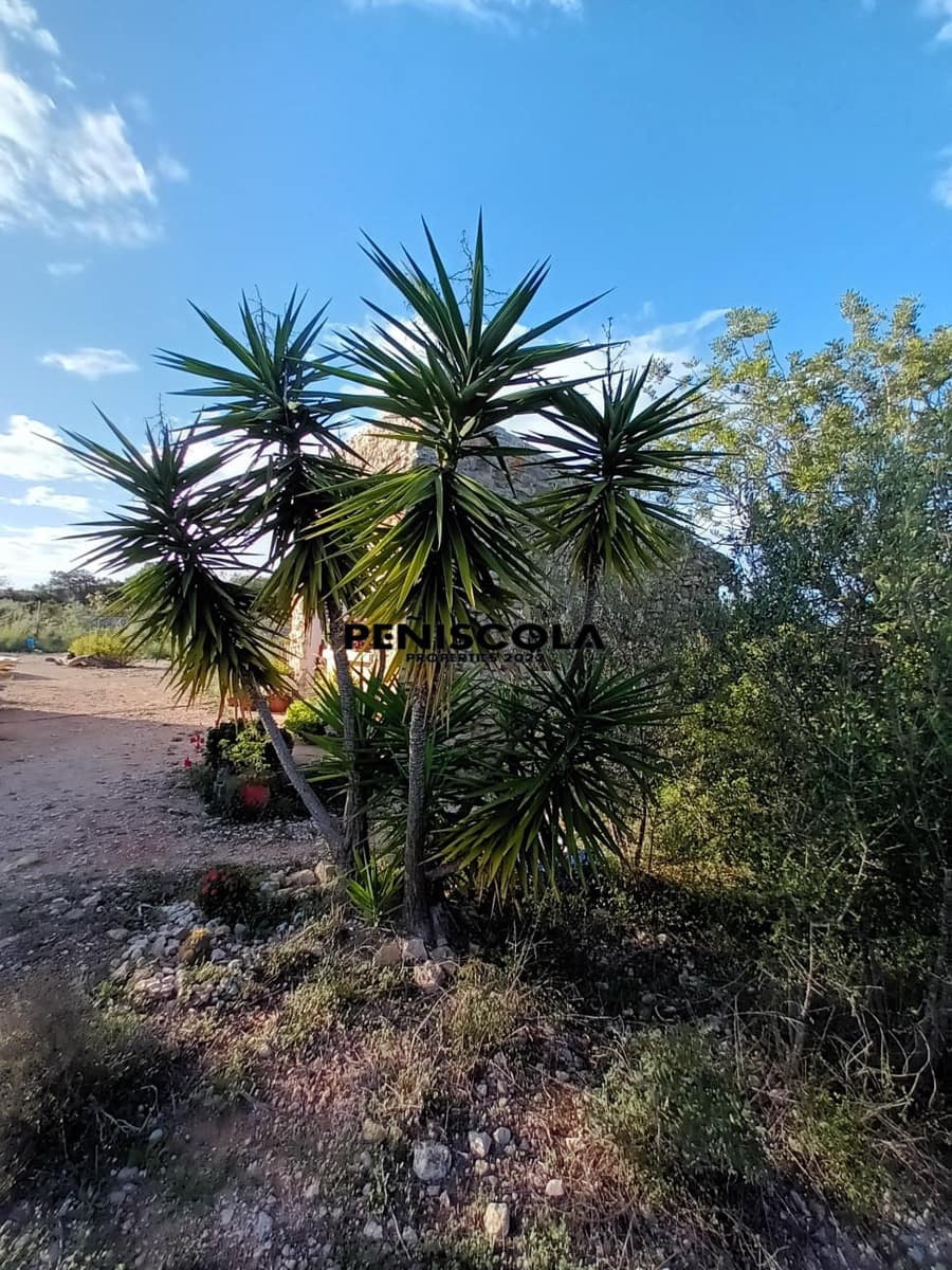 1 Zimmer Finca/Landgut zu verkaufen in Cervera del Maestre / Cervera del Maestrat - 85.000 € (Ref: 8873244)