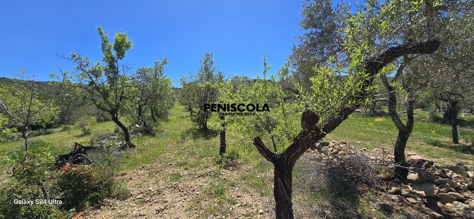 2 sovrum Finca/Hus på landet till salu i Cervera del Maestre / Cervera del Maestrat - 100 000 € (Ref: 8930703)