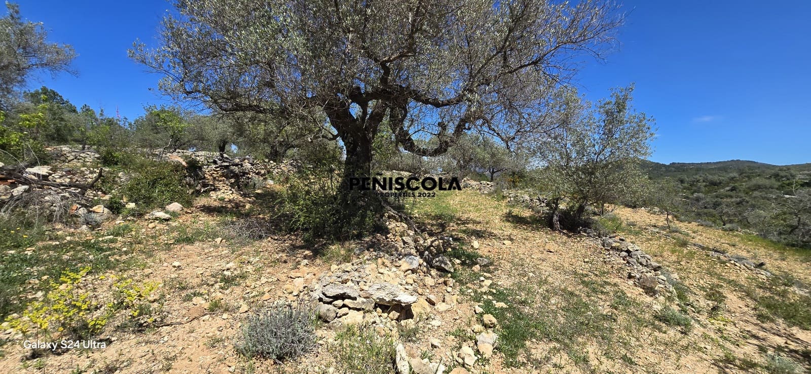 2 sovrum Finca/Hus på landet till salu i Cervera del Maestre / Cervera del Maestrat - 100 000 € (Ref: 8930703)