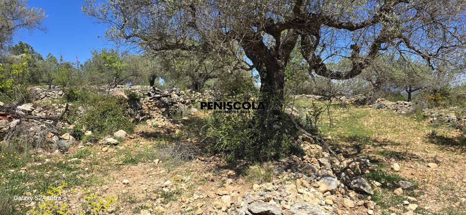 2 sovrum Finca/Hus på landet till salu i Cervera del Maestre / Cervera del Maestrat - 100 000 € (Ref: 8930703)