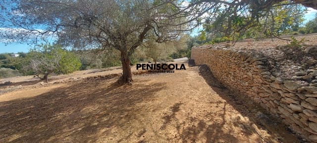 Finca/Country House for sale in Vinaròs - € 48,000 (Ref: 8949594)