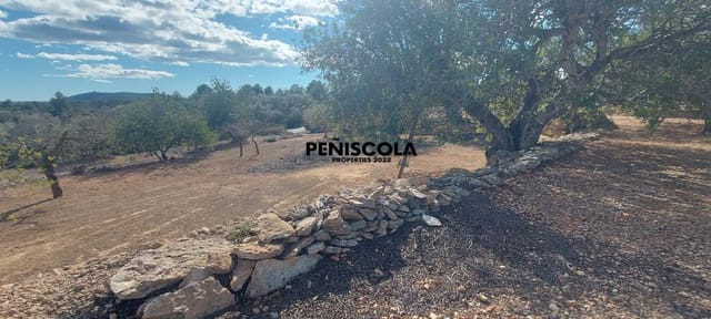 Finca/Country House for sale in Vinaròs - € 48,000 (Ref: 8949594)