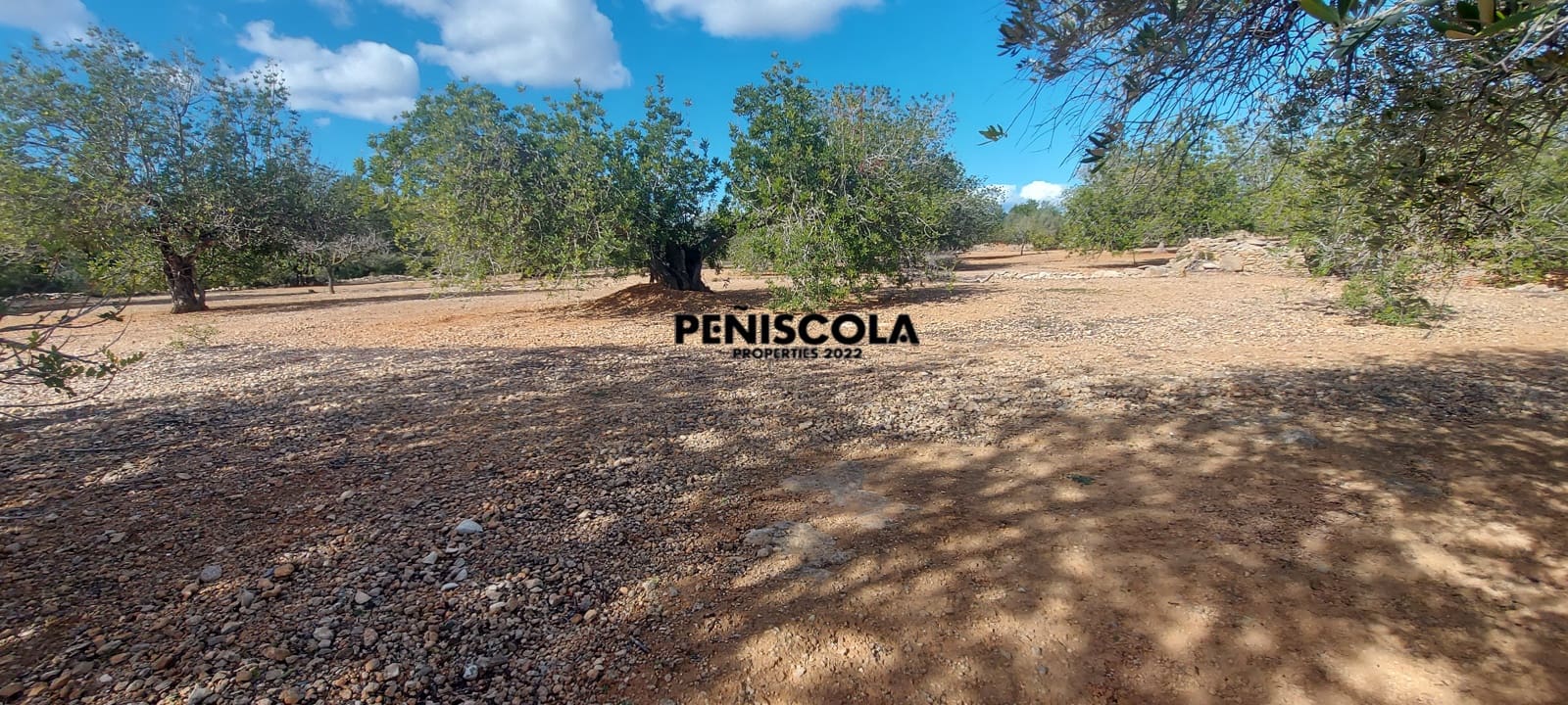 Finca/Casa di Campagna in vendita in Vinaros - 48.000 € (Rif: 8949594)