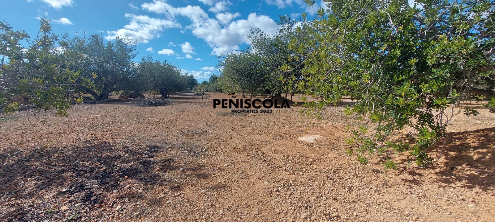 Finca/Casa di Campagna in vendita in Vinaros - 48.000 € (Rif: 8949594)