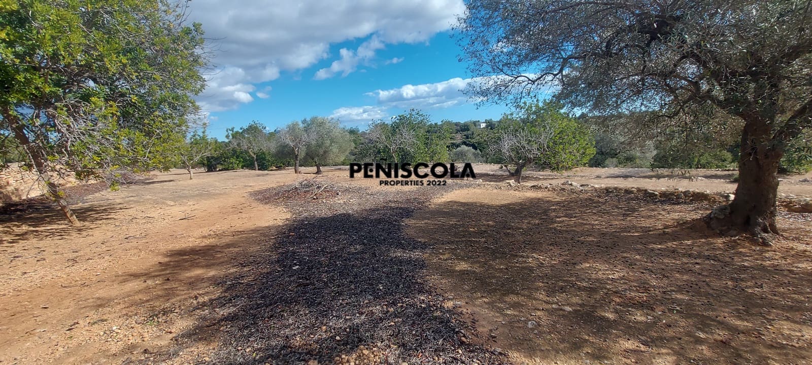 Finca/Casa di Campagna in vendita in Vinaros - 48.000 € (Rif: 8949594)