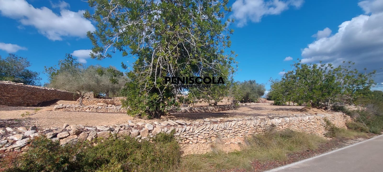 Finca/Casa di Campagna in vendita in Vinaros - 48.000 € (Rif: 8949594)