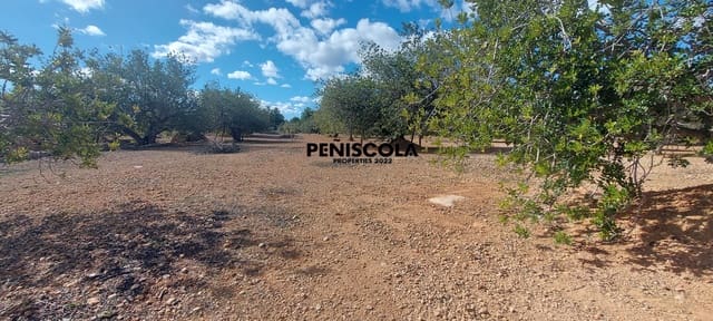 Finca/Country House for sale in Vinaròs - € 48,000 (Ref: 8949594)