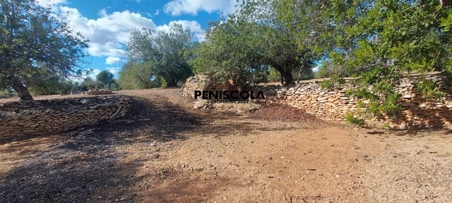 Finca/Country House for sale in Vinaròs - € 48,000 (Ref: 8949594)