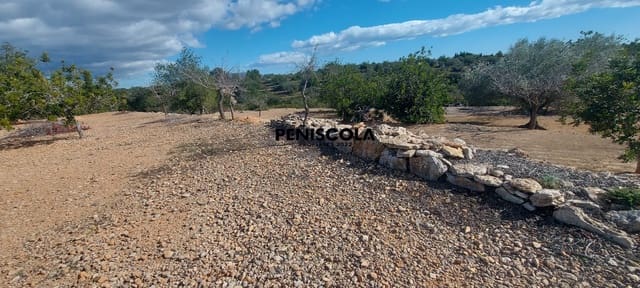 Finca/Country House for sale in Vinaròs - € 48,000 (Ref: 8949594)