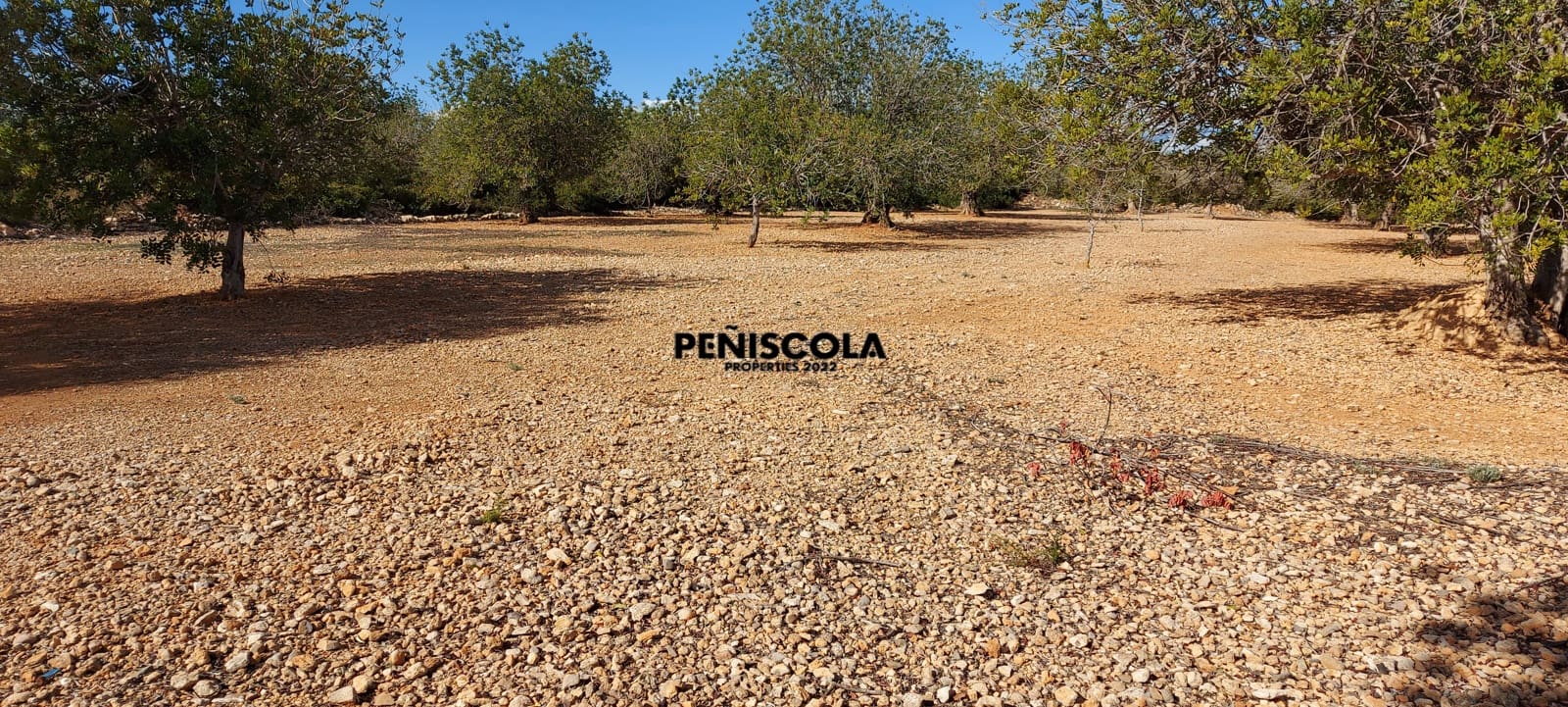 Finca/Casa di Campagna in vendita in Vinaros - 48.000 € (Rif: 8949594)