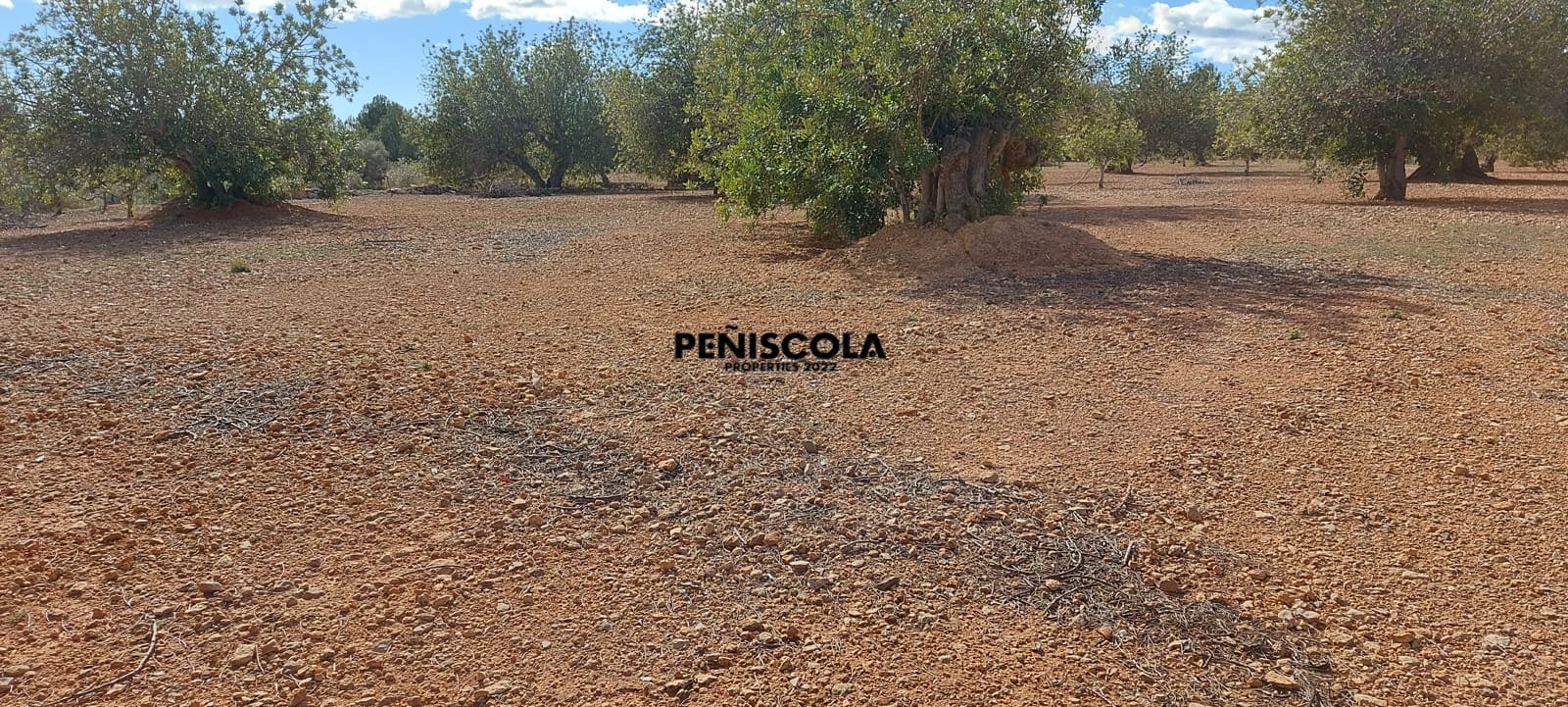 Finca/Casa di Campagna in vendita in Vinaros - 48.000 € (Rif: 8949594)