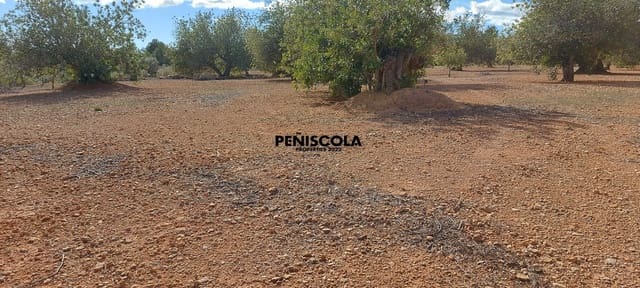 Finca/Country House for sale in Vinaròs - € 48,000 (Ref: 8949594)