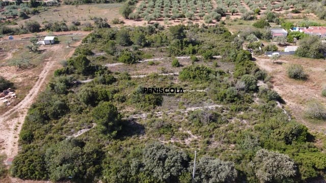 Finca/Country House for sale in Càlig - € 20,000 (Ref: 9037442)