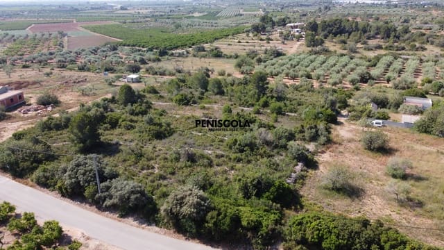 Finca/Country House for sale in Càlig - € 20,000 (Ref: 9037442)