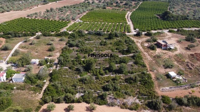 Finca/Country House for sale in Càlig - € 20,000 (Ref: 9037442)