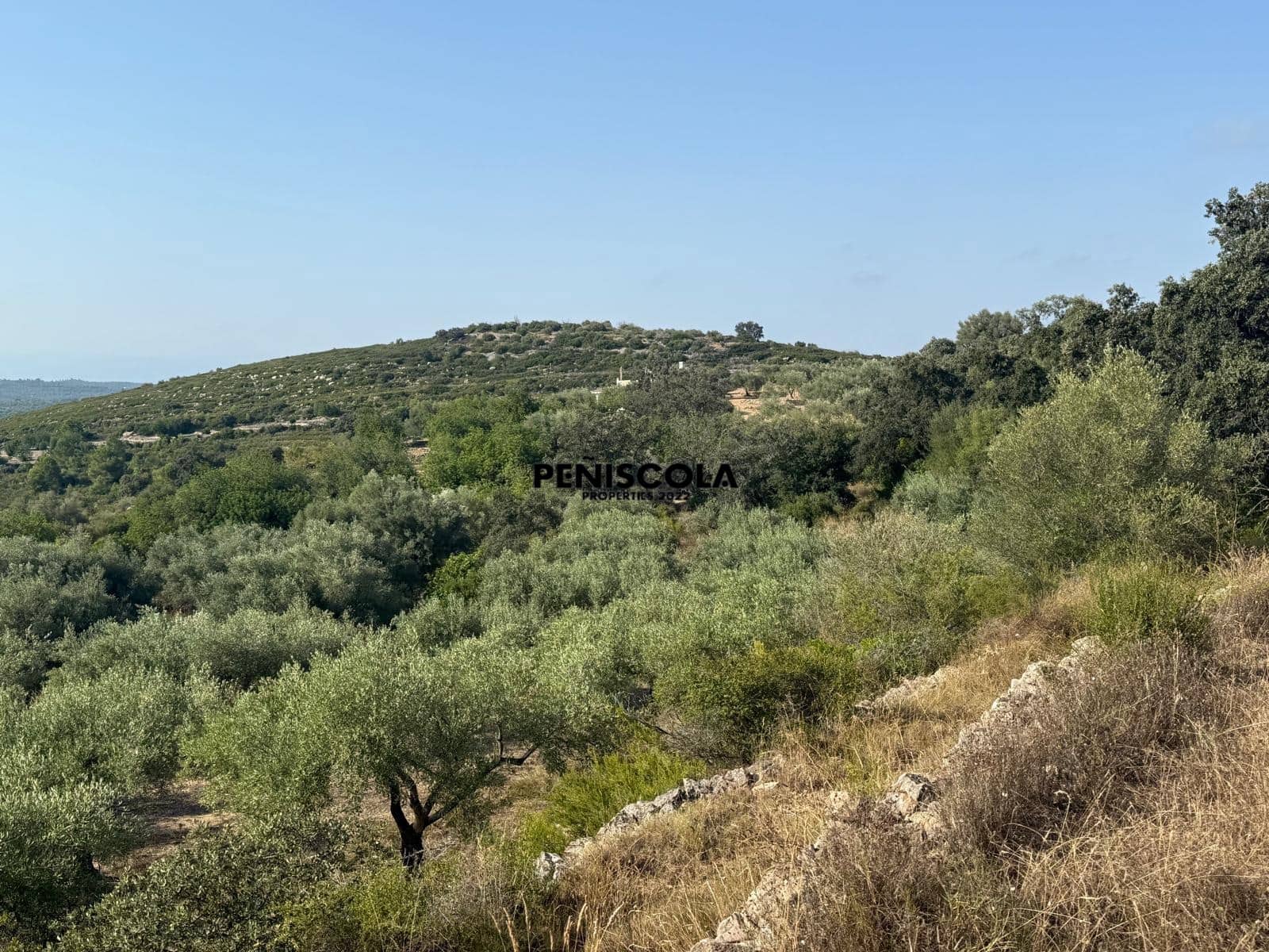 Finca/Landehus til salg i Cervera del Maestre / Cervera del Maestrat - € 62.000 (Ref: 9164554)