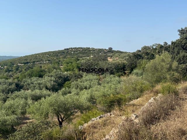 Finca/Country House for sale in Cervera del Maestre / Cervera del Maestrat - € 62,000 (Ref: 9164554)