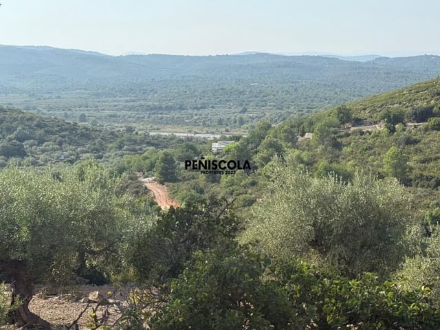 Finca/Country House for sale in Cervera del Maestre / Cervera del Maestrat - € 62,000 (Ref: 9164554)
