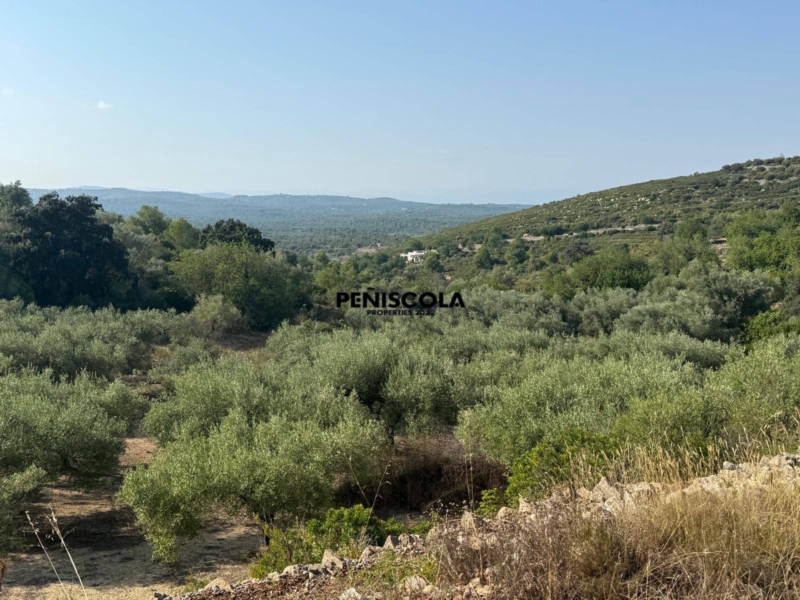 Finca/Landehus til salg i Cervera del Maestre / Cervera del Maestrat - € 62.000 (Ref: 9164554)