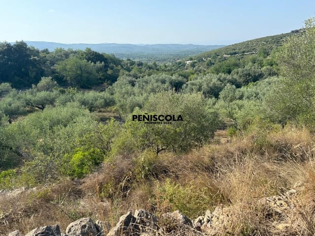 Finca/Country House for sale in Cervera del Maestre / Cervera del Maestrat - € 62,000 (Ref: 9164554)