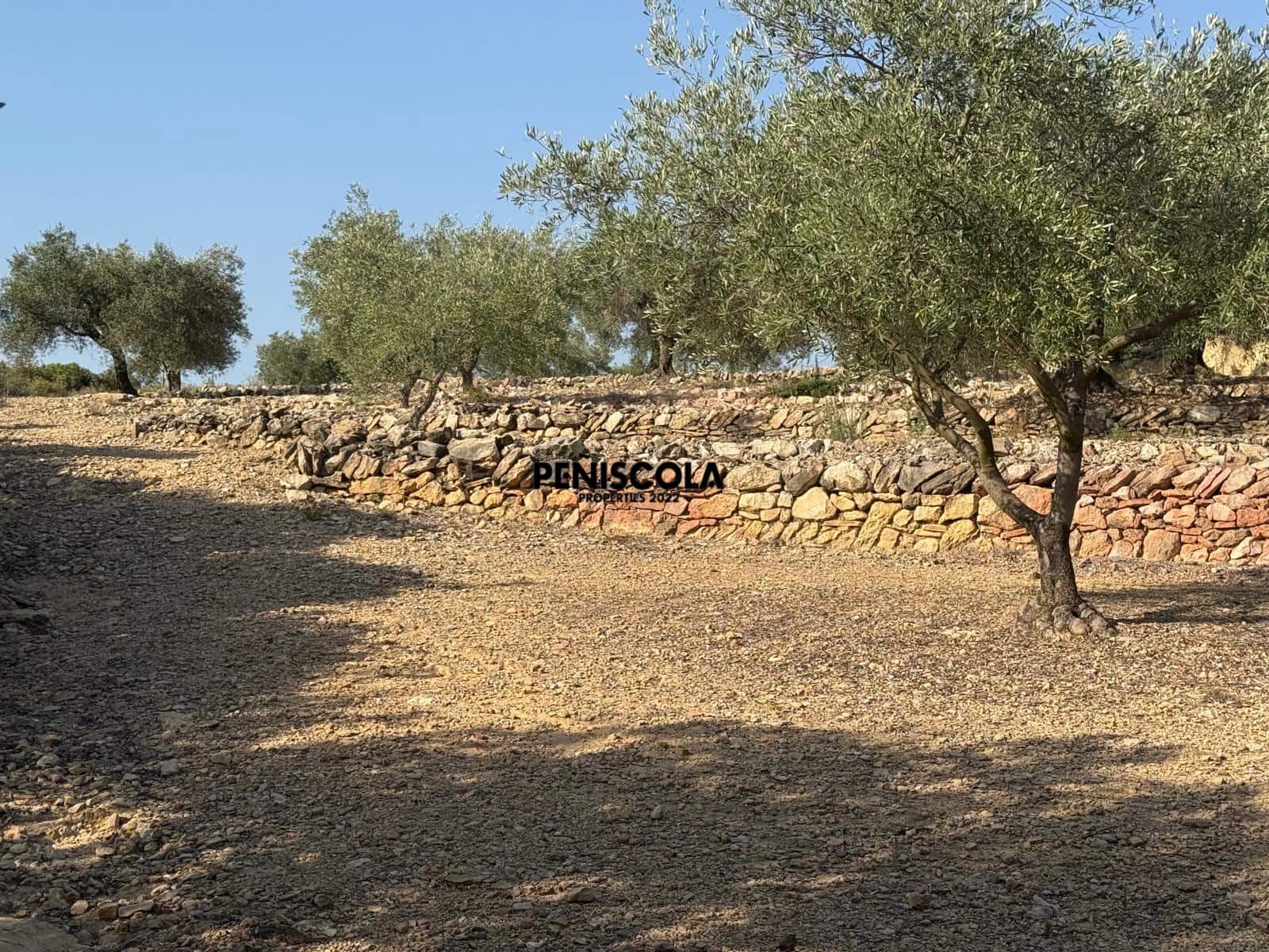 Finca/Landehus til salg i Cervera del Maestre / Cervera del Maestrat - € 62.000 (Ref: 9164554)