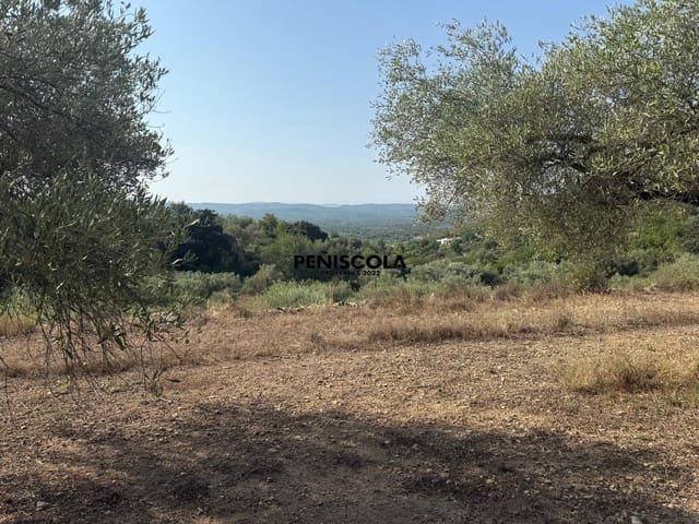 Finca/Country House for sale in Cervera del Maestre / Cervera del Maestrat - € 62,000 (Ref: 9164554)