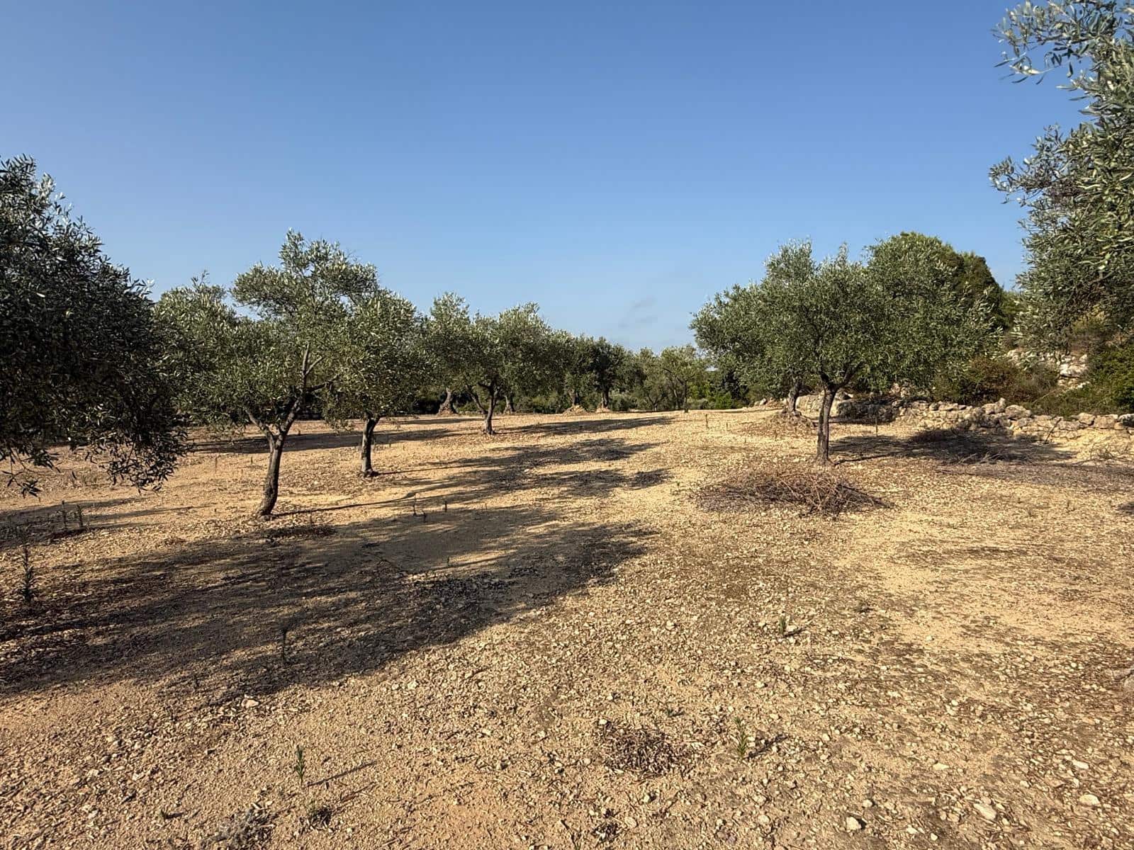 Finca/Landehus til salg i Cervera del Maestre / Cervera del Maestrat - € 62.000 (Ref: 9164554)