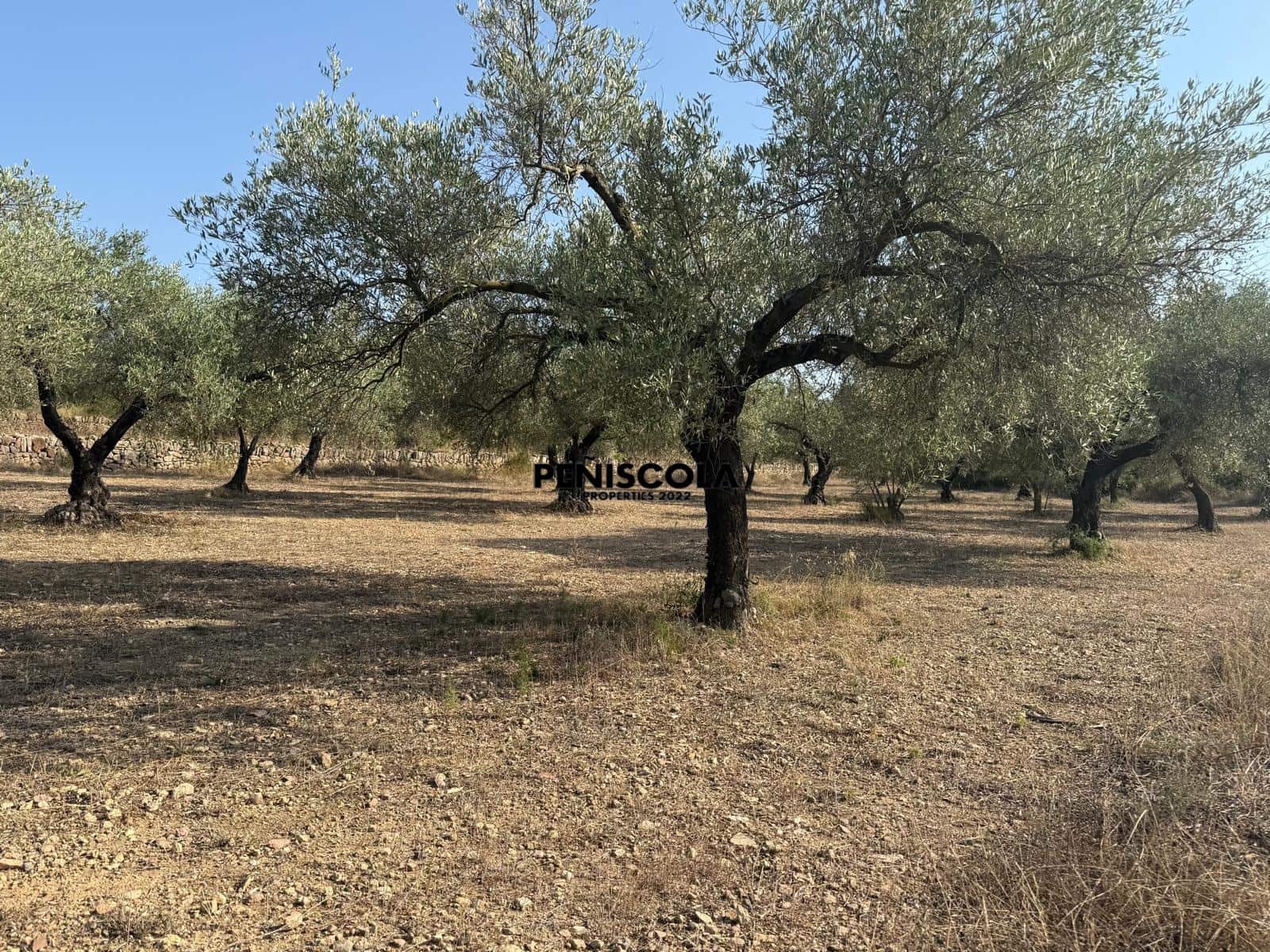 Finca/Landehus til salg i Cervera del Maestre / Cervera del Maestrat - € 62.000 (Ref: 9164554)