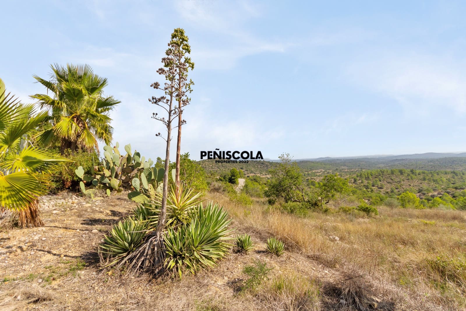 3 soveværelse Villa til salg i Cervera del Maestre / Cervera del Maestrat med swimmingpool garage - € 665.000 (Ref: 9263354)