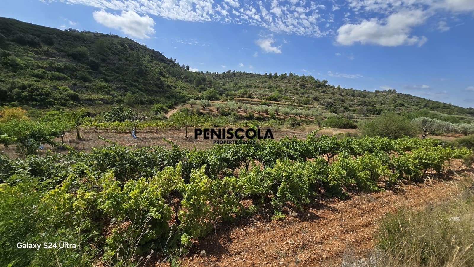 Finca/Landgut zu verkaufen in Cervera del Maestre / Cervera del Maestrat - 15.000 € (Ref: 9319648)