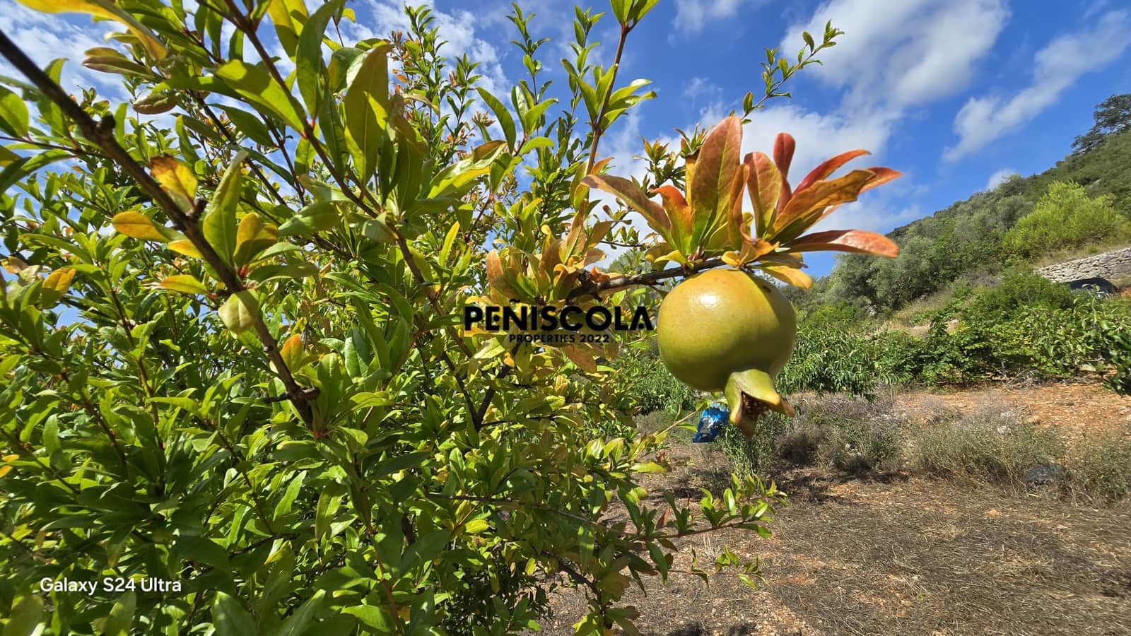 Finca/Landgut zu verkaufen in Cervera del Maestre / Cervera del Maestrat - 15.000 € (Ref: 9319648)