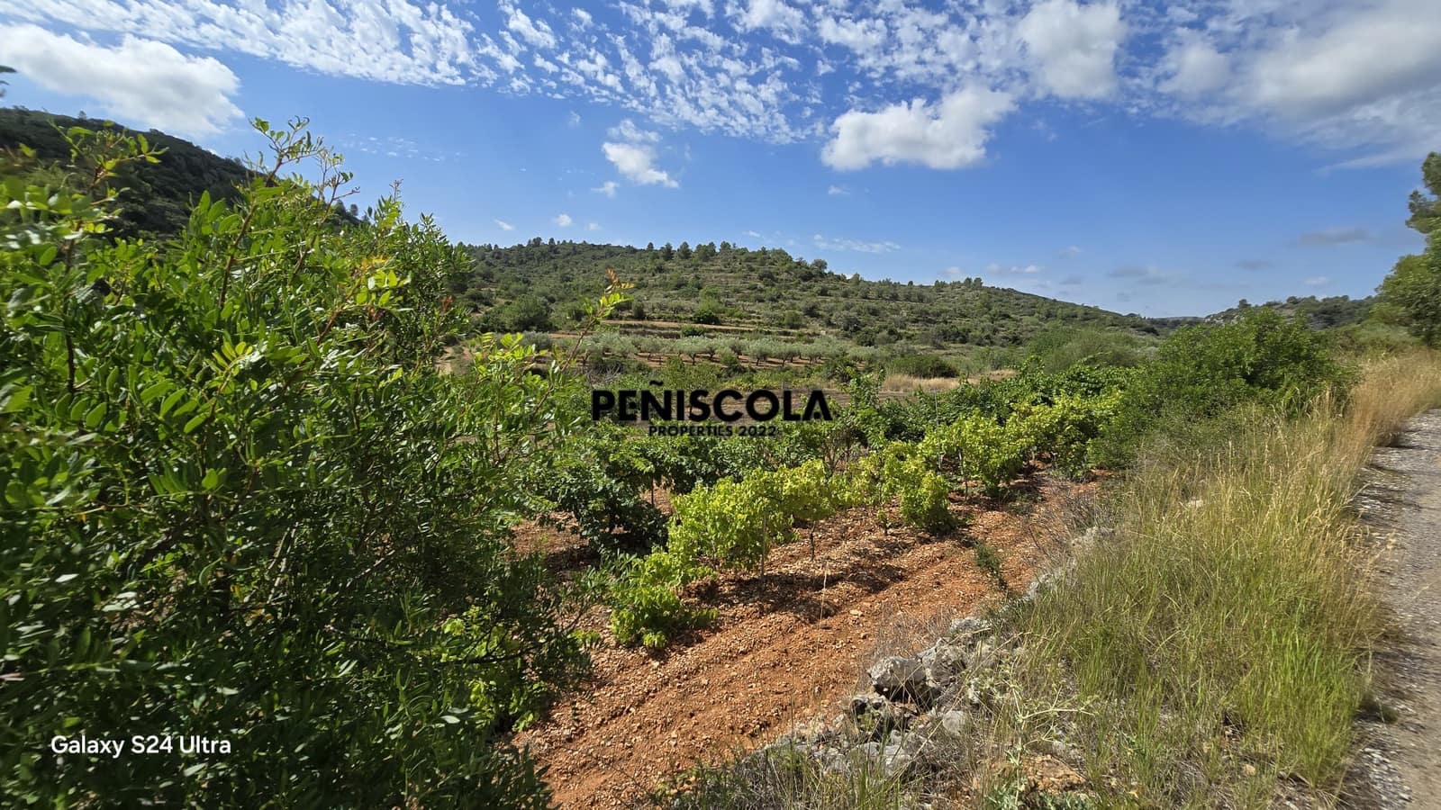 Finca/Landgut zu verkaufen in Cervera del Maestre / Cervera del Maestrat - 15.000 € (Ref: 9319648)