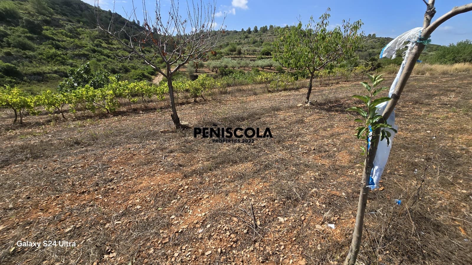 Finca/Landgut zu verkaufen in Cervera del Maestre / Cervera del Maestrat - 15.000 € (Ref: 9319648)