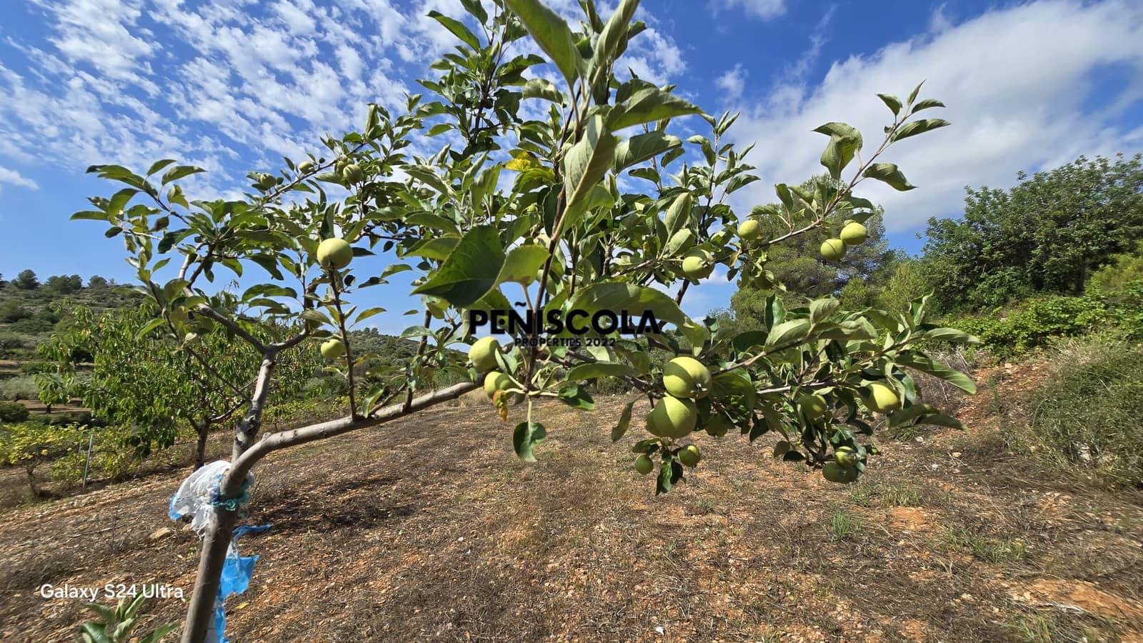 Finca/Landgut zu verkaufen in Cervera del Maestre / Cervera del Maestrat - 15.000 € (Ref: 9319648)