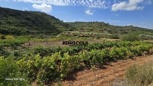 Finca/Country House for sale in Cervera del Maestre / Cervera del Maestrat - € 15,000 (Ref: 9319648)