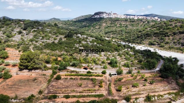 Finca/Country House for sale in Cervera del Maestre / Cervera del Maestrat - € 15,000 (Ref: 9319648)